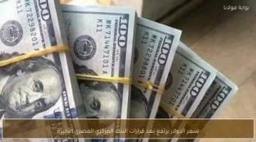 الجنيه مقابل الأخضر.. تحرك جديد في سعر الدولار بعد قرارات البنك المركزي المصري الأخيرة